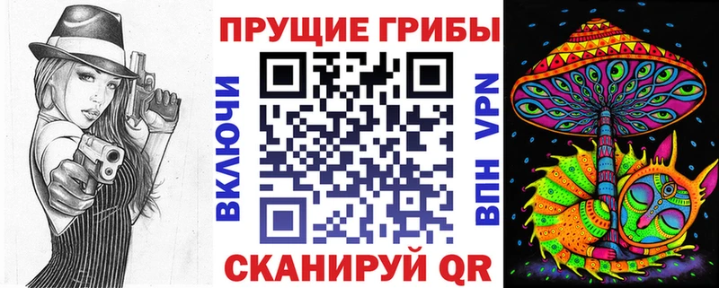 Псилоцибиновые грибы Psilocybe  Карабаново 
